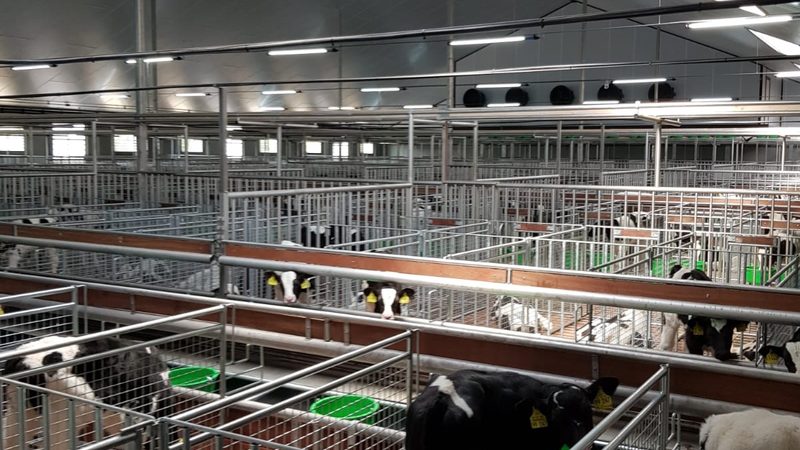 新手开网店装修：五大步骤打造专业店铺形象