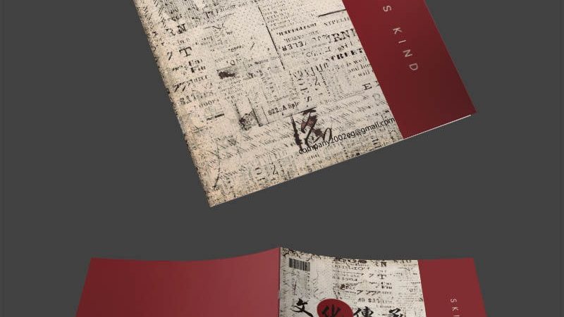 Shopify：云平台建站的灵活选择